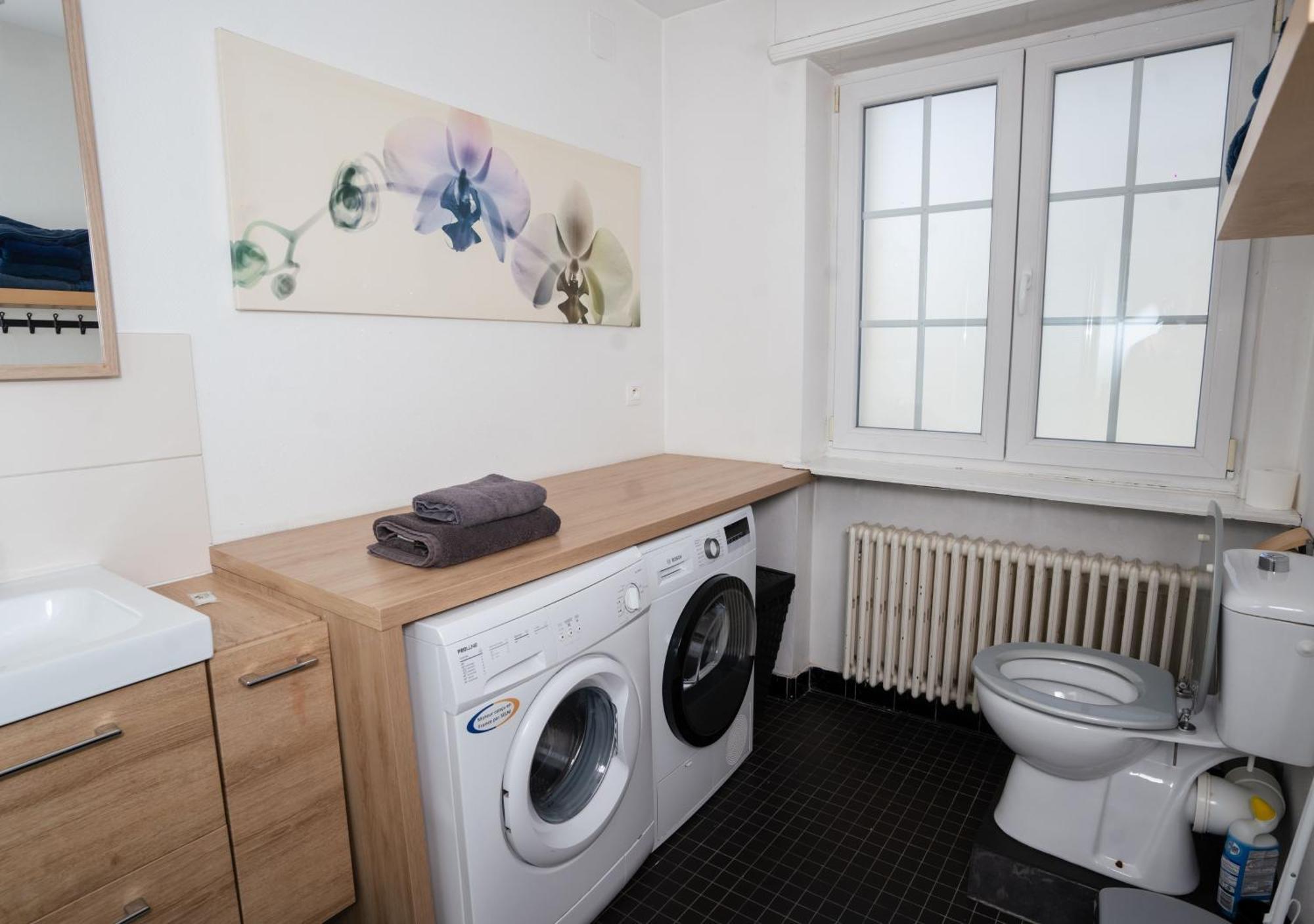שטרסבורג Charmant Appartement Avec Terrasse Dans Villa מראה חיצוני תמונה